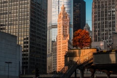 15657133452_ec4b9ea005_k