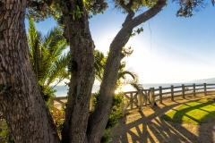 16 - Ocean Avenue Park