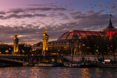 le-grand-palais-at-sunset_11451877136_o