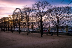 terrasse-du-jeu-de-paume_11731565124_o