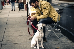 Why Dogs Hate Smartphones IV