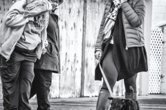 Why Dogs Hate Smartphones V