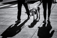 Found Toys are the Best Toys