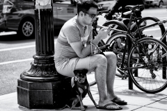 Why Dogs Hate Smart Phones