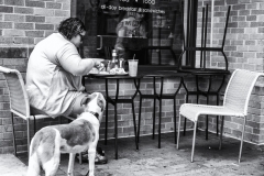 That Looks Really Good