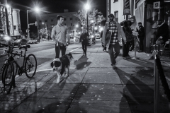 Late Dog Walk on U Street