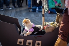 15449877307_c1149fd64f_k