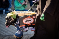 15456425920_a1be97450d_k