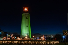 15715971419_d36d4a6c01_k_(1)