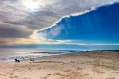 16130817188_7aa1d34062_k