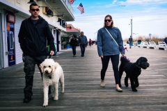 17089027619_6d9a278aee_k