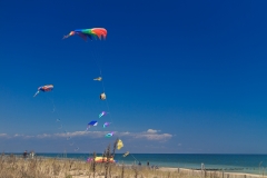 17278703485_da390900f0_k